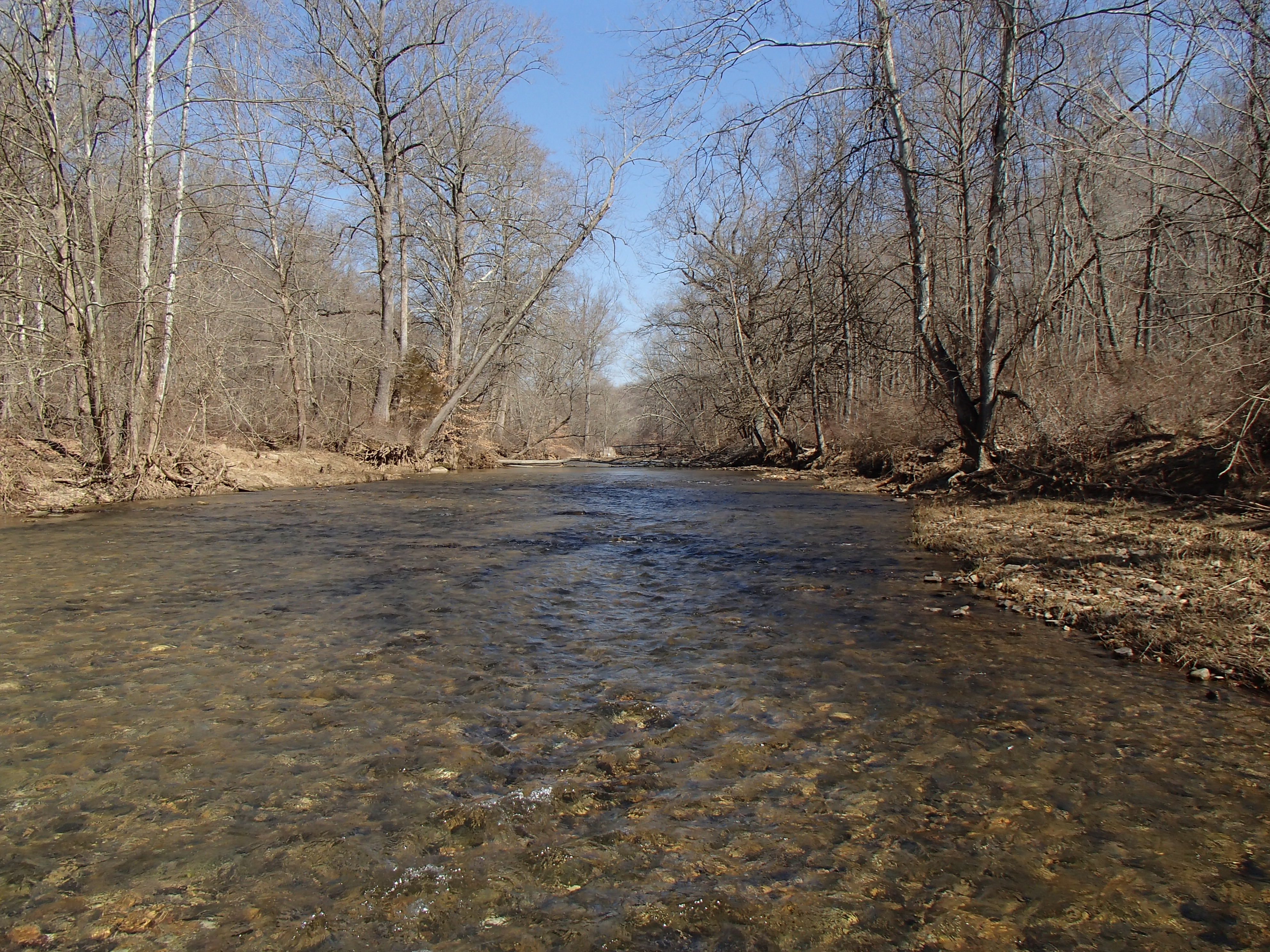 Field photo showing stream conditions at site BELK-303-R-2016_midpoint upstream